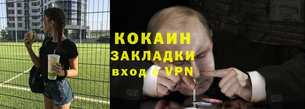кокс Алексин