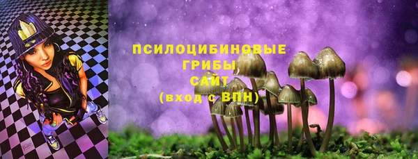 крисы Аркадак