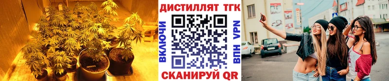 ТГК вейп с тгк  KRAKEN рабочий сайт  Рыльск 