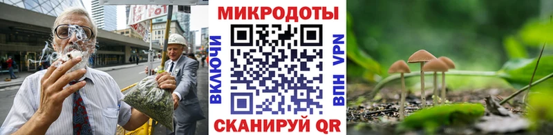 Псилоцибиновые грибы мицелий  хочу наркоту  Рыльск 